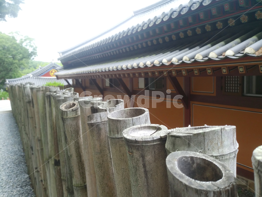 대나무,울타리,담장,식물,bamboo,wall