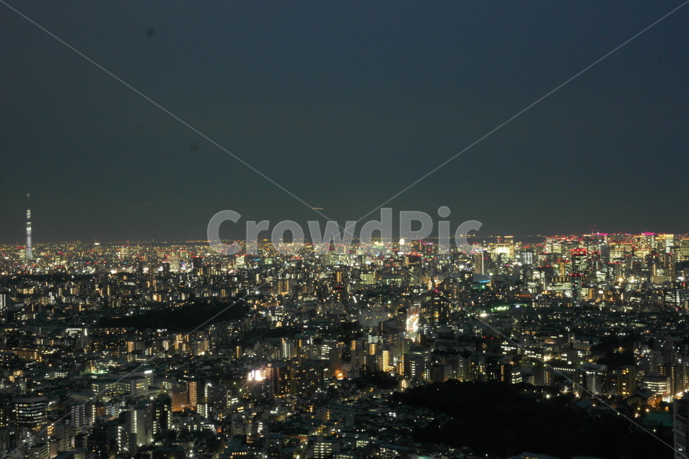 야경,도시,검정,조명,빛,야경,밤,풍경,nightscape,night,landscape,도시,city,nature,자연,outdoors,옥외,경치,scenery,aerial view,조감도