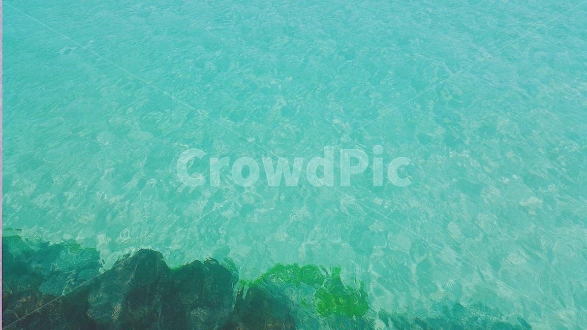 nature,자연,water,물,outdoors,바다,맑은물,제주도,투명,맑음,청량감,시원,휴양지,해수욕장,해수욕,물놀이,자연,풍경,nature,landscape,옥외