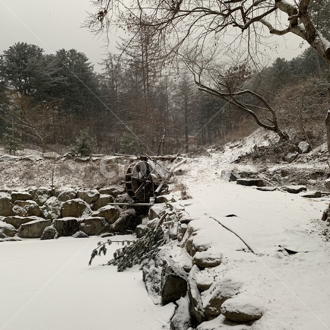 눈,풍경,물레방아,절경,경치,겨울,계절,winter,season,자연,풍경,nature,landscape,outdoors,옥외