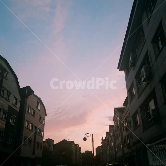 노을,하늘,구름,cloud,sunset,sky,일몰,해질녘,건물,색감,풍경,그림자,shadow,분홍빛,분홍빛하늘,핑크빛하늘,분홍색하늘