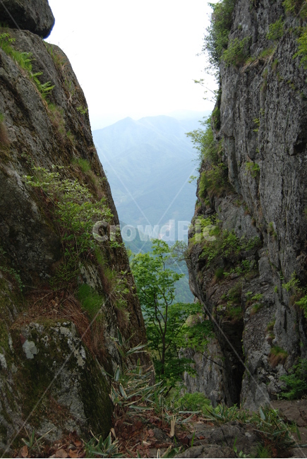 바위,나무,하늘,자연,탐방지,자연,풍경,nature,landscape,outdoors,옥외,cliff,낭떠러지