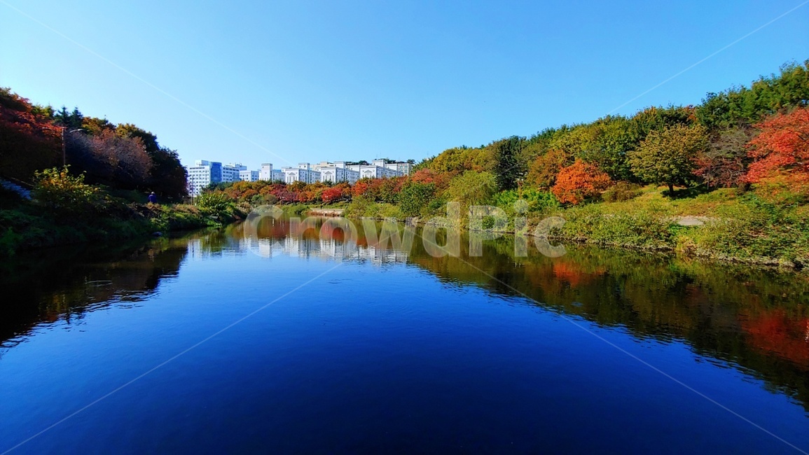 자연,분당탄천,탄천가을,nature,outdoors,water,lake,호수,가을,계절,fall,autumn,season,자연,풍경,nature,landscape