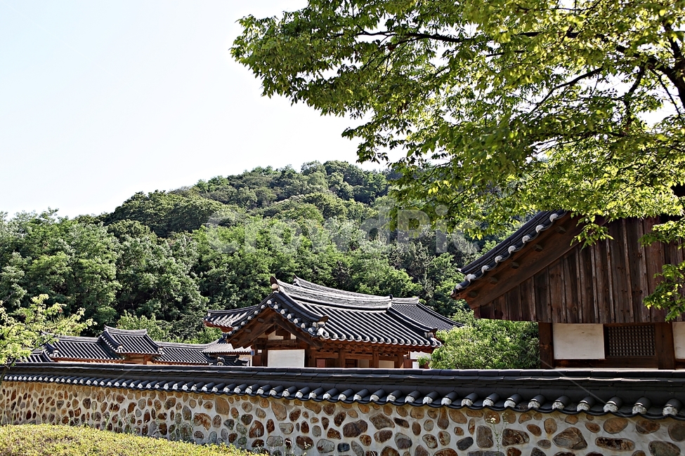 기와집,전통집,한옥,집,옛날집,한국전통,한국문화,korean traditional,korean culture,건축물,건물외관,exterior,building,structure,architecture,construction