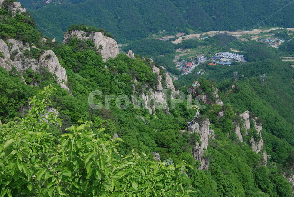 tree,mountain,nature,spring,산,자연,풍경,nature,landscape,outdoors,옥외,경치,scenery