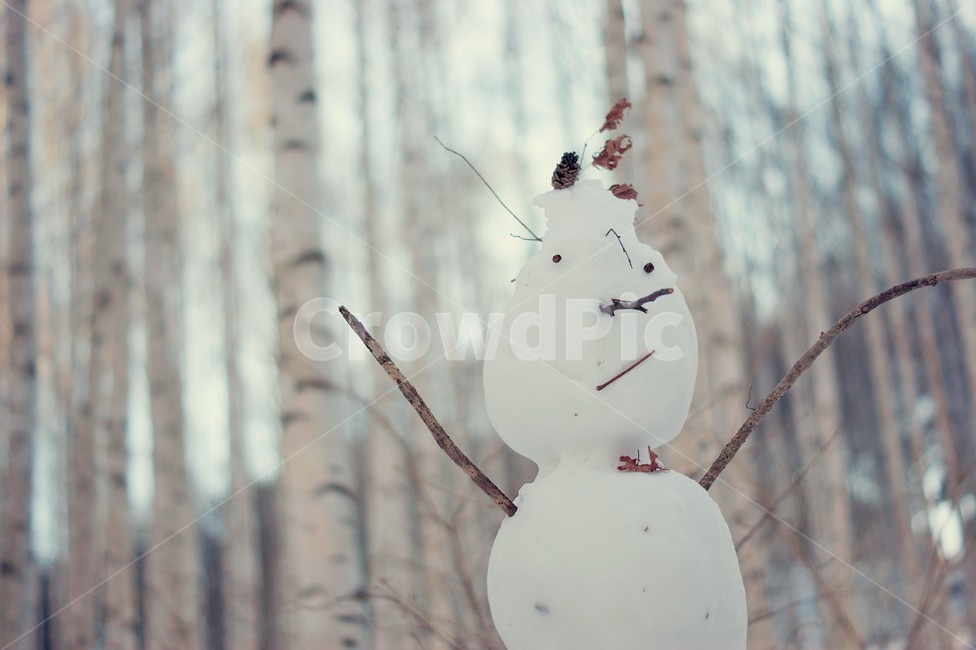 숲,나무,겨울숲,자작나무숲,눈사람,설경,눈,겨울,계절,winter,season