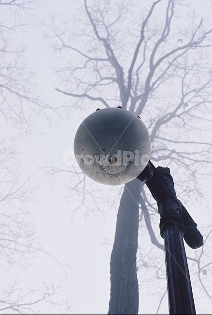 가로등,안개,거리전등,streetlight,lamp,background,electricity,자연,풍경,nature,landscape,sphere,구체