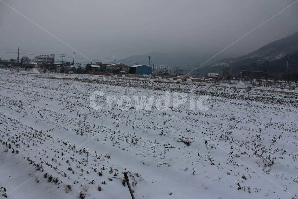 겨울,겨울풍경,눈,분위기,snow,겨울아침,시골풍경,한겨울,snowing,풍경,자연,landscape,계절,색감