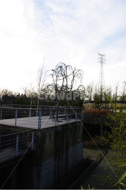 겨울,나무,공원,식물,plant,하늘,구름,건축물,건물외관,exterior,building,structure,architecture,construction