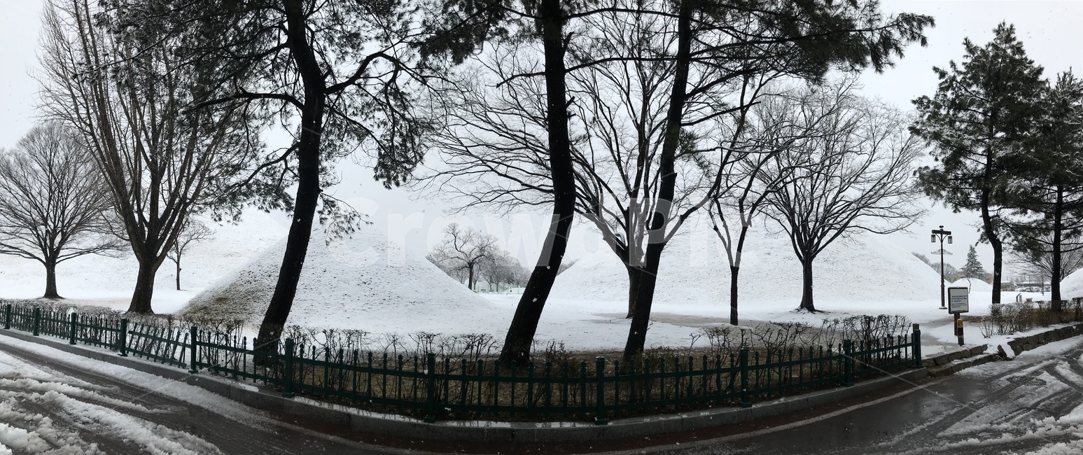 눈,겨울,릉,눈오는릉,자연,겨울무덤,겨울,계절,winter,season