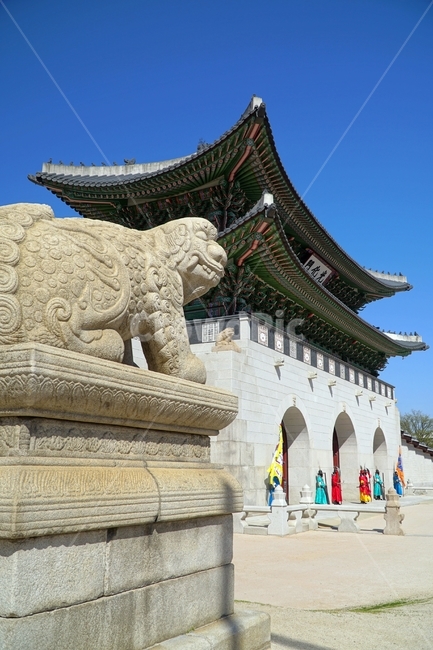 경복궁,광화문,해태,고궁,궁궐,궁전,왕실,조선,korea,seoul,한국,서울,종로,한옥,성,castle,haetae,gyeongbokgung,palace,gwanghwamun,gate,한국전통,한국문화,전통문화,kingdom,조선왕조,문화재,역사,culturalassets,culturalproperties,파란하늘,푸른하늘,bluesky,한국풍경,한국자연,서울풍경,서울자연