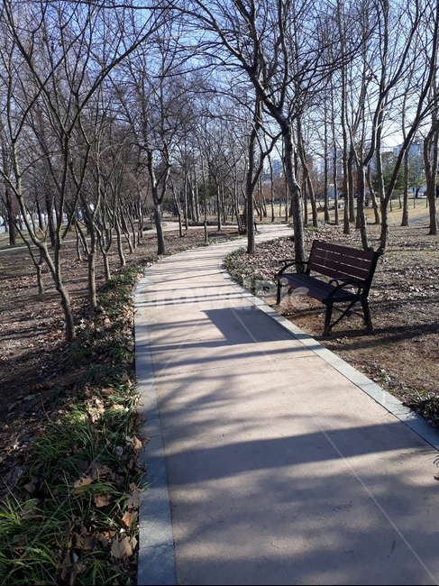 path,통로,산책길,배경,자연