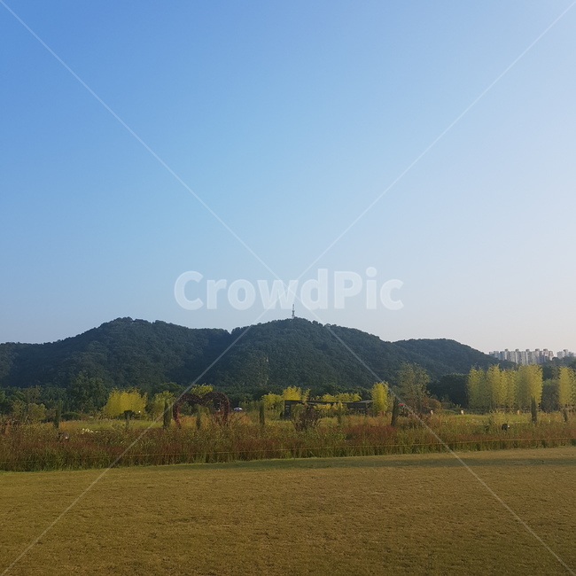 잔디밭,잔디,산,하늘,태화강