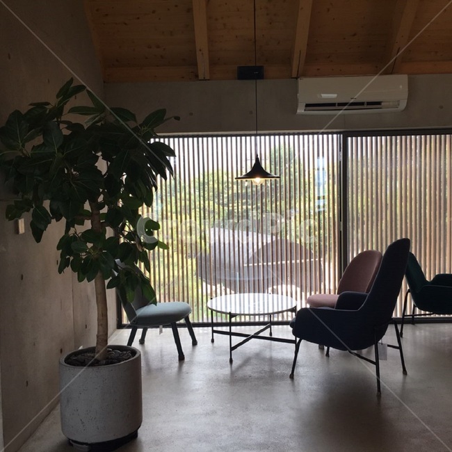 화분,까페,까페인테리어,에어컨,테이블,소파,1인용소파,cafe,interior