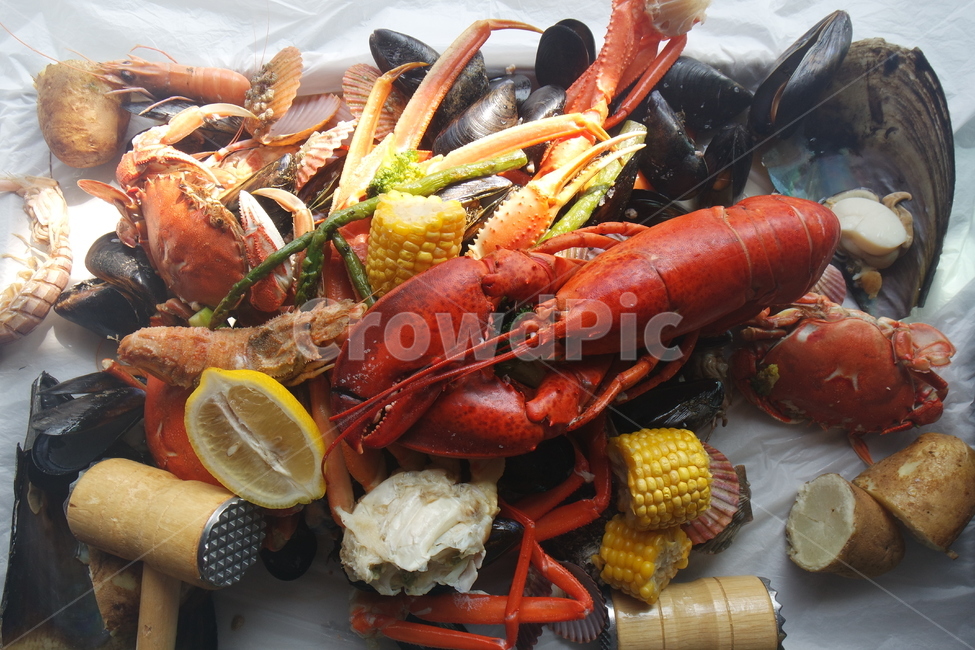 해산물,랍스타,랍스터,조개,굴,레몬,대게,꽃게,크랩,가리비,키조개,음식,food,해양생물,seafood,lobster,갑각류,음식,식재료,요리,food,cook,meal,dishes,food reserves,수산물,해산물,fishery products,seafood
