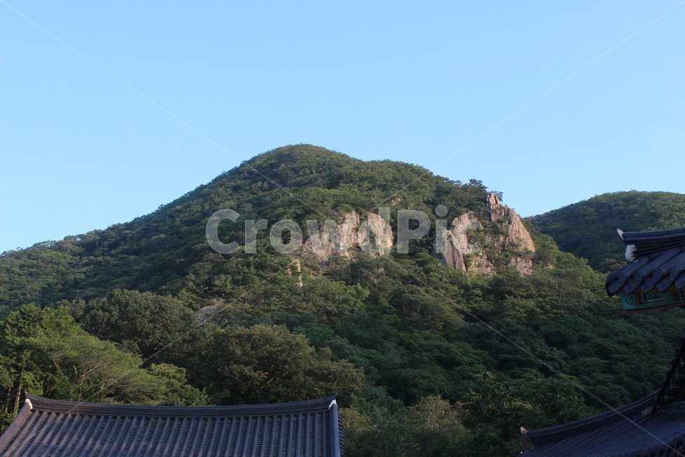 여름,시골,summer,자연,산,나무,하늘,sky,blue,tree,green,분위기