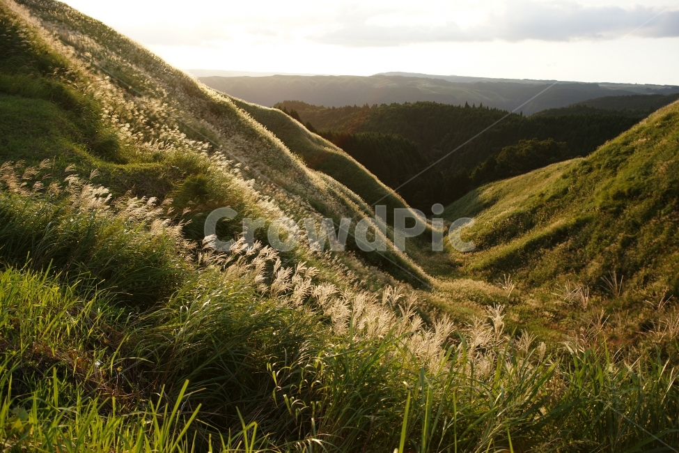 일본계곡,일본산,아소산,일본억새,일본아소산,자연,풍경,nature,landscape,outdoors,옥외,slope,경사