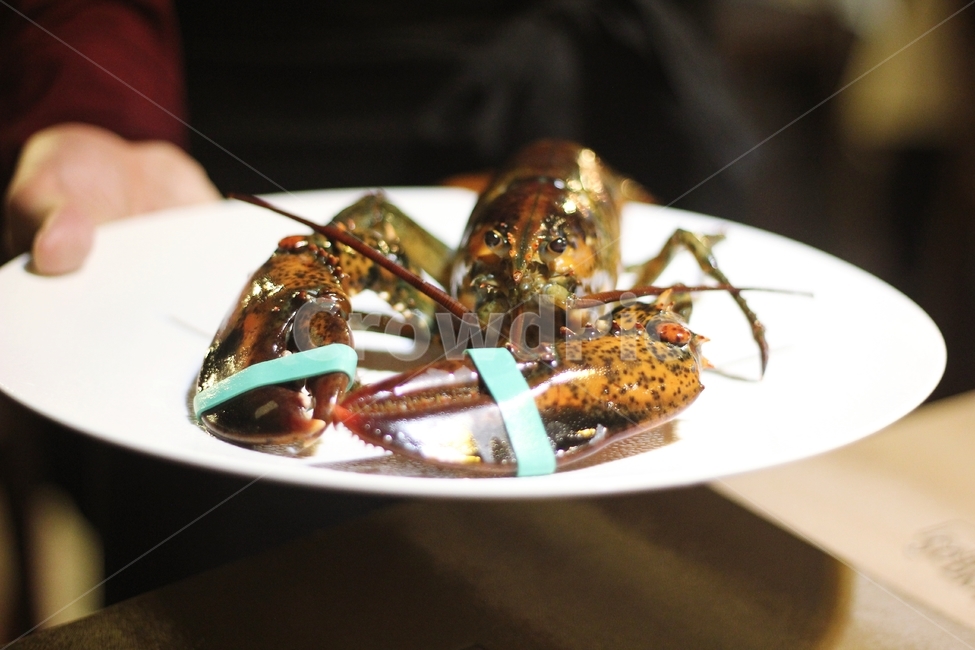 레스토랑,랍스타,랍스타요리,코스요리,스페인음식,음식,식재료,요리,food,cook,meal,dishes,food reserves