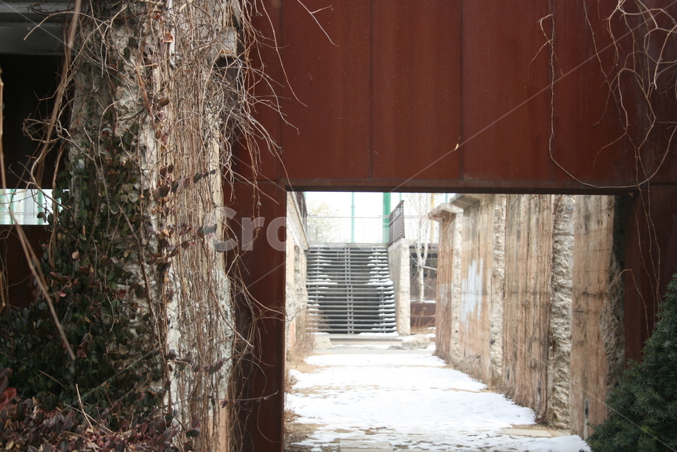 통로,사각,프레임,눈,덩쿨,건축물,건물외관,exterior,building,structure,architecture,construction