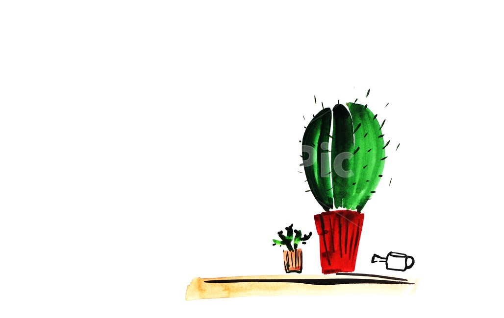 plant,식물,선인장,화분,손그림,식물,자연,plants,nature,그래픽,일러스트레이션,graphic,illustration