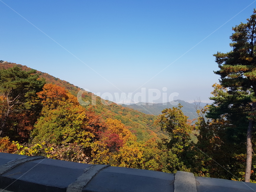 산,가을,푸른,단풍,맑은,남한산성,하늘,sky,mountain,오후,fall,autumn,nature,자연,가을,계절,fall,autumn,season,자연,풍경,nature,landscape,outdoors,옥외