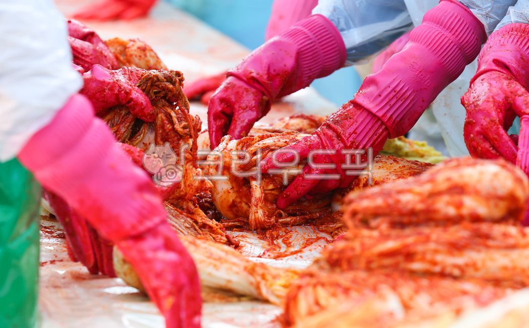 김치,김장,김장준비,김치공장,고추가루,공장,절임배추,배추김치,전통음식,겨울음식,야채,채식,발효,신선한,빨간,단체,봉사활동,행사,배추,고추장,양념,반찬,손,한식,한국음식,한국
