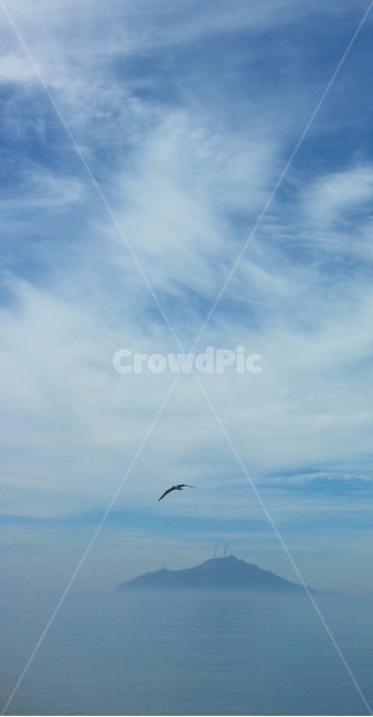 자연,자연풍경,바다,하늘,갈매기,감성사진,자연,풍경,nature,landscape,동물,animal,조류,새,birds,bird,flying,나는