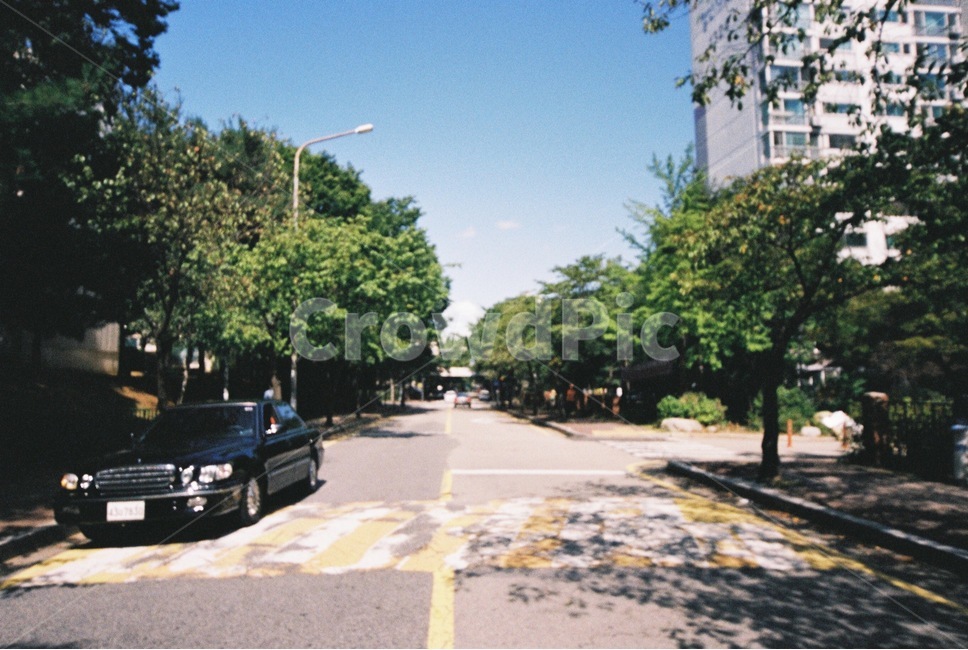 필름,여름,싱그러움,맑음,푸르른,도시,풍경,city,landscape,vehicle,차량,car,차,transportation,교통,automobile,자동차