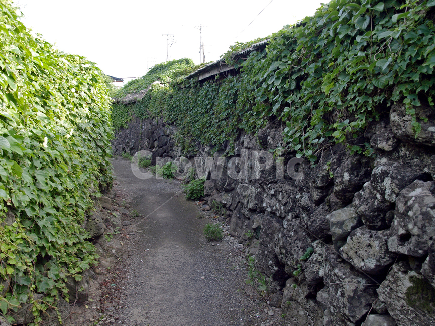 올레,골목,조천,마을,올레18코스,올레길,제주,담재이,자연,풍경,nature,landscape,제주도,jeju,jeju island,dirt road,흙길,road,도로,gravel,자갈