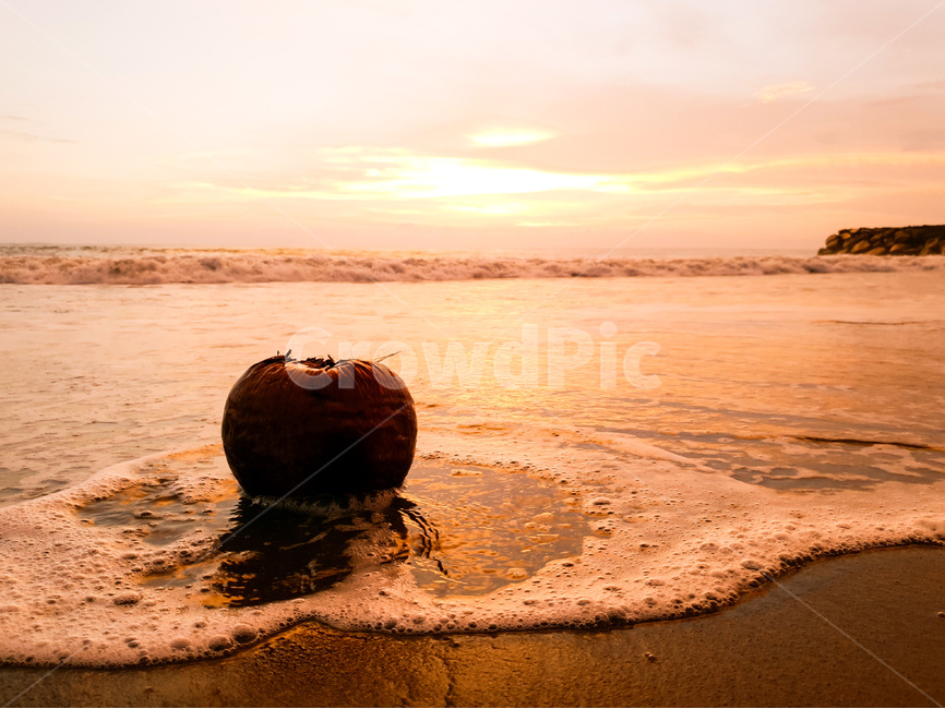 해변,열매,바다,풍경,하늘,beach,sea,landscape,sky,인도네시아,indonesia,자연,풍경,nature,landscape,plant,식물