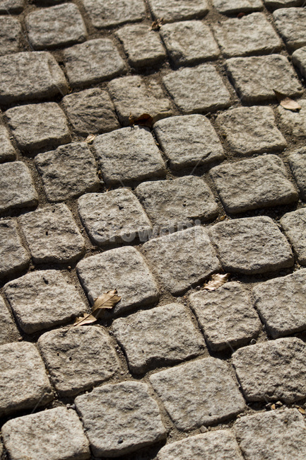 바닥,돌,보도블럭,도로,돌바닥,격자,조각,돌조각,텍스처,질감,패턴,texture,pattern