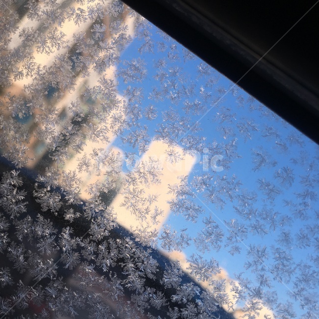 성에,눈,결정,겨울,유리,겨울,계절,winter,season