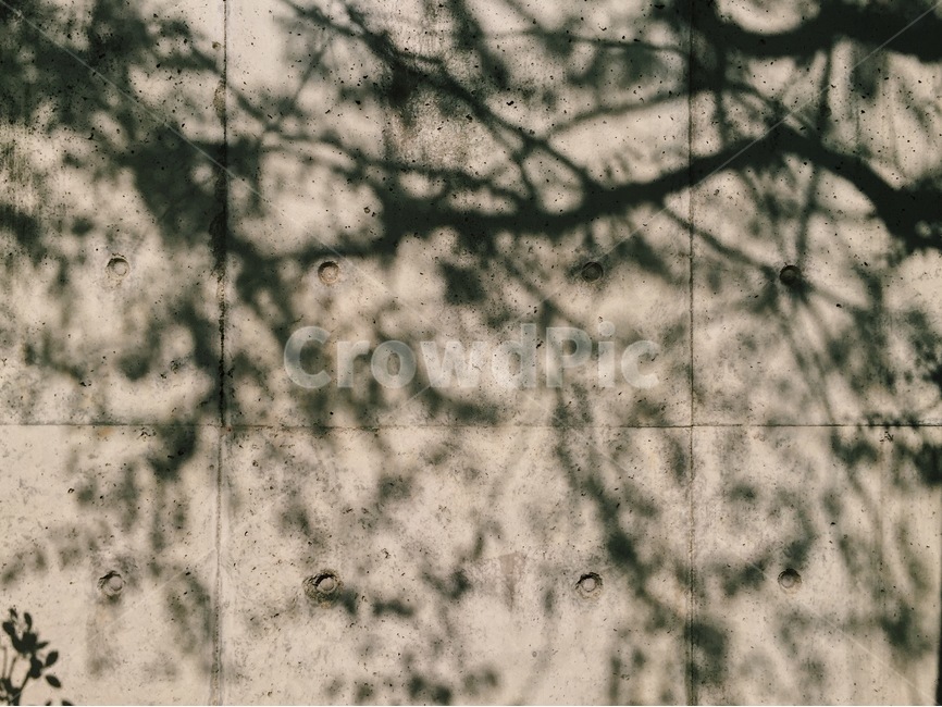 그림자,실루엣,오후,풍경,그늘,나무,shadow,배경,감성,실루엣,그림자,silhouette,shadow
