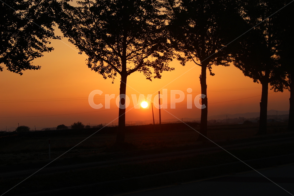 노을,저녁,해질녘,저녁시간,해,자연,풍경,nature,landscape,실루엣,그림자,silhouette,shadow,outdoors,옥외,sunlight,햇빛