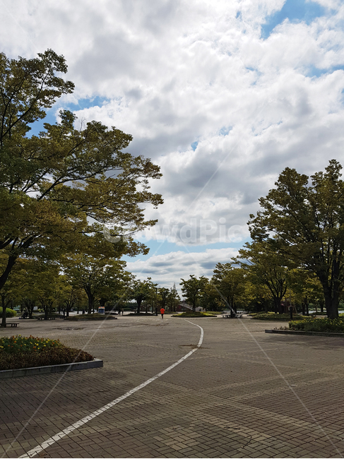 공원,하늘,구름,나무,산책,tree,맑은날,파란하늘,산책로,park,landscape,풍경,자연,nature,호수공원