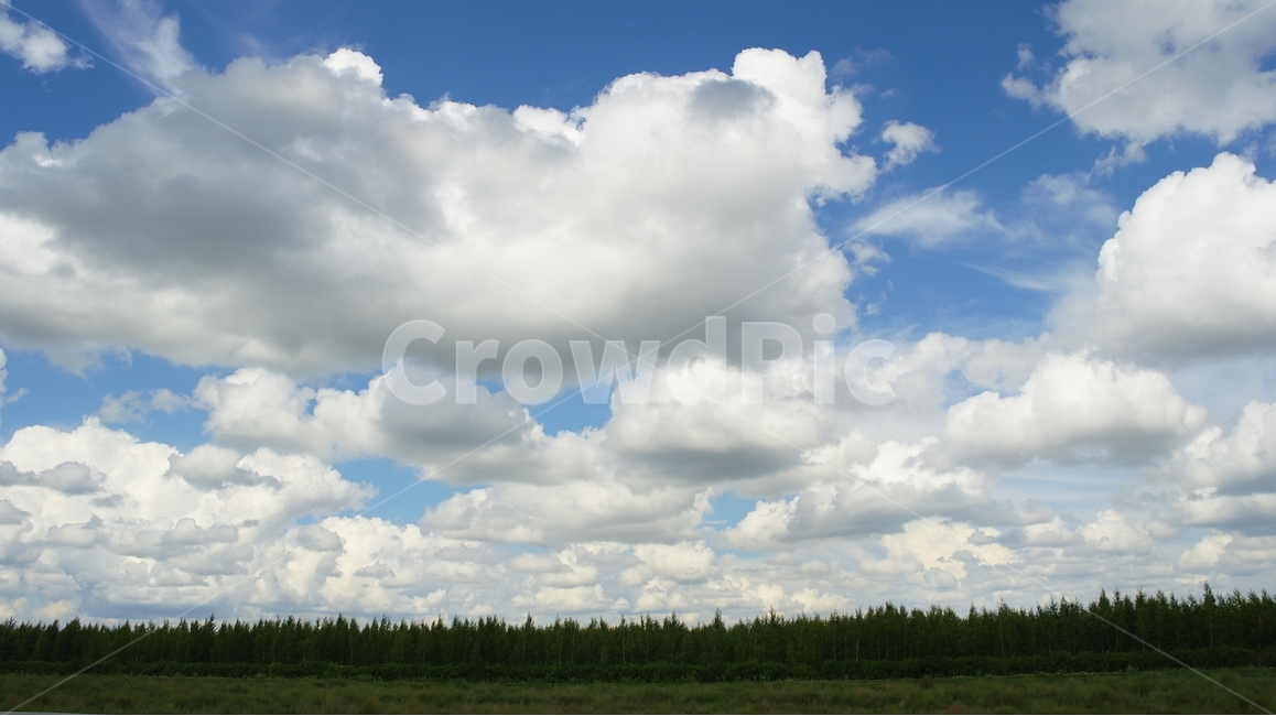 자연,구름,하늘,숲,초원,들판,nature,cloud,forest,sky,풍경,자연,풍경,nature,landscape,outdoors,옥외,weather,날씨,cumulus,적운