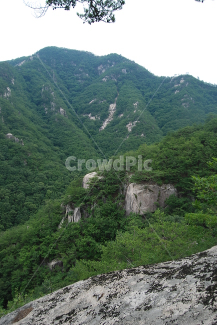 summer,hikingtrail,nature,mountain,산,자연,풍경,nature,landscape,slope,경사,outdoors,옥외