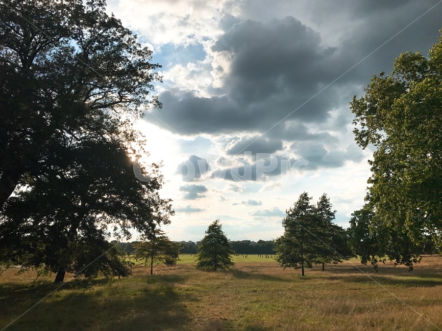 영국,공원,풍경,하늘,햇빛,구름,나무,자연,들판,뭉게구름,자연,풍경,nature,landscape,해외,외국,세계,foreign,oversea,world,세계자연풍경,해외자연풍경,외국자연풍경,world nature landscape,tree,plant,식물,outdoors,옥외,savanna,대초원,field,들,grassland,목초지