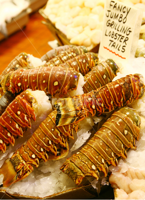 랍스터,랍스터꼬리,씨푸드,해산물,lobster,lobstertail,마켓,갑각류,가재,바닷가재,랍스타,신선한,fresh,seafood,음식,식재료,요리,food,cook,meal,dishes,food reserves,수산물,해산물,fishery products,seafood
