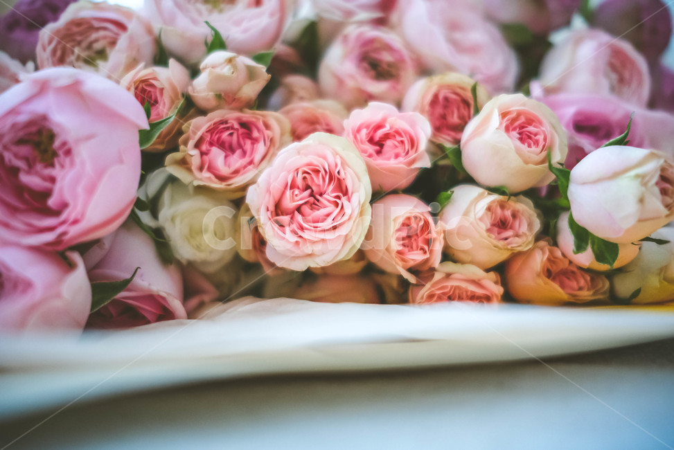 flowerarrangement,꽃꽂이,flowerbouquet,꽃부케,flower,꽃,blossom,rose,장미,꽃,flower,기념일,축하,anniversary,congratulation,celebrate,celebration