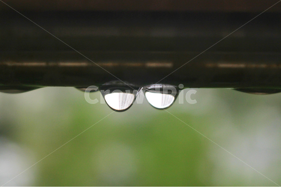 감성사진,풍경,비,장마,여름,빗방울,rain,감성,sensible,feeling,비,비오는날,rain,rainy