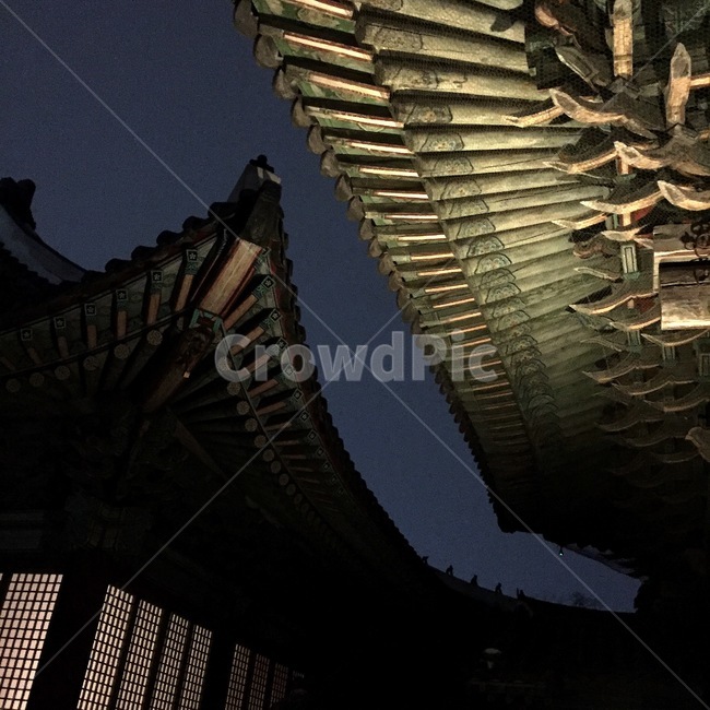 창경궁,창경궁야간개장,고궁,야경,전통,전통문화,저녁,밤,야경,밤,풍경,nightscape,night,landscape,랜드마크,landmark,tourist attraction,한국랜드마크,한국관광지,한국명소,korea landmark,korea tourist attraction,architecture,건축물,shrine,신사,pagoda,탑,building,건물,worship,예배