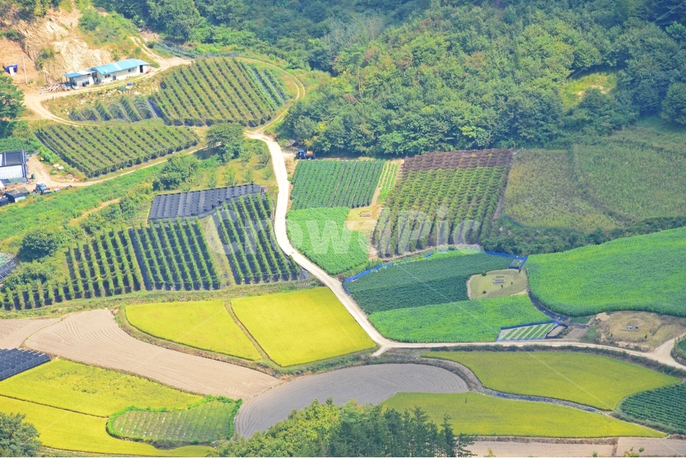 진안,구봉산,산행,산골,농촌,들녁,scenery,풍경,nature,자연,outdoors,옥외,landscape,경치,자연,풍경,nature,landscape,한국자연풍경,한국자연경관,korea nature landscape