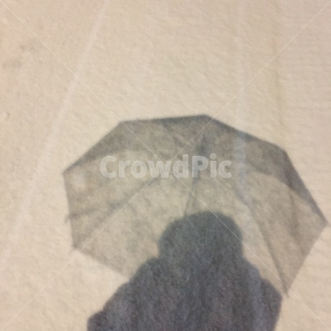 눈,우산,겨울,사람,흰백,패딩