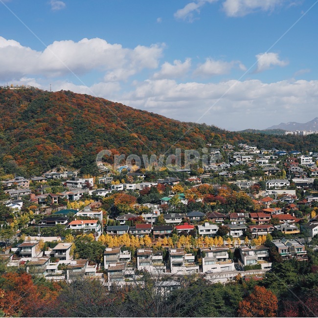풍경,가을,단풍,landscape,감성사진,nature,자연,성북동,경치,도시,풍경,city,landscape,한국도시풍경,한국도시경관,korea cityscape