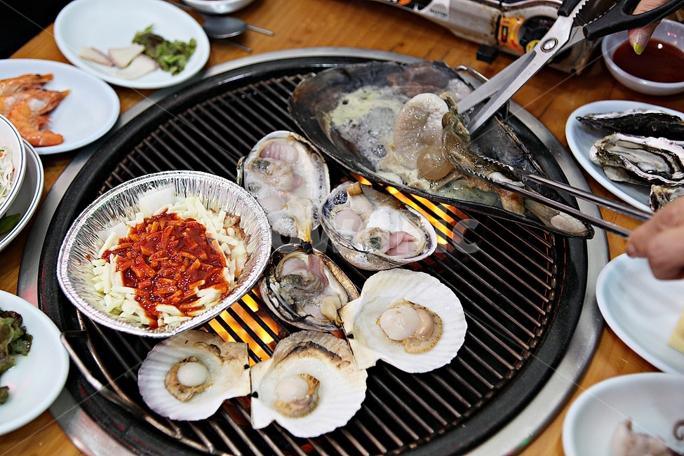 조개,안주,해산물,해물,식재료,음식,먹거리,조개껍질,음식,식재료,요리,food,cook,meal,dishes,food reserves