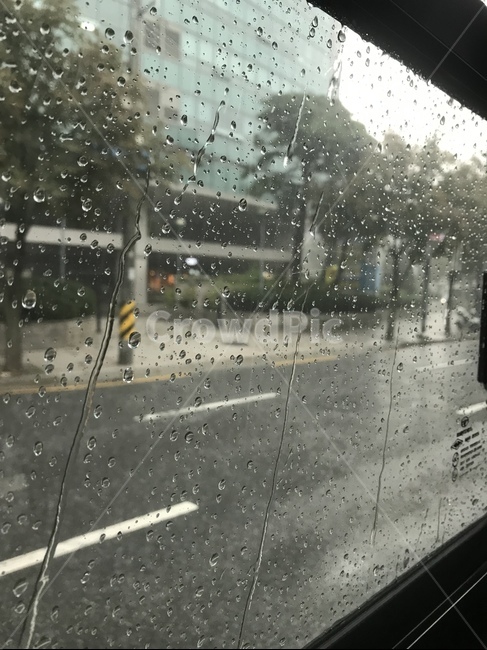 버스,거리,비,창문,window,rain,street,bus,배경
