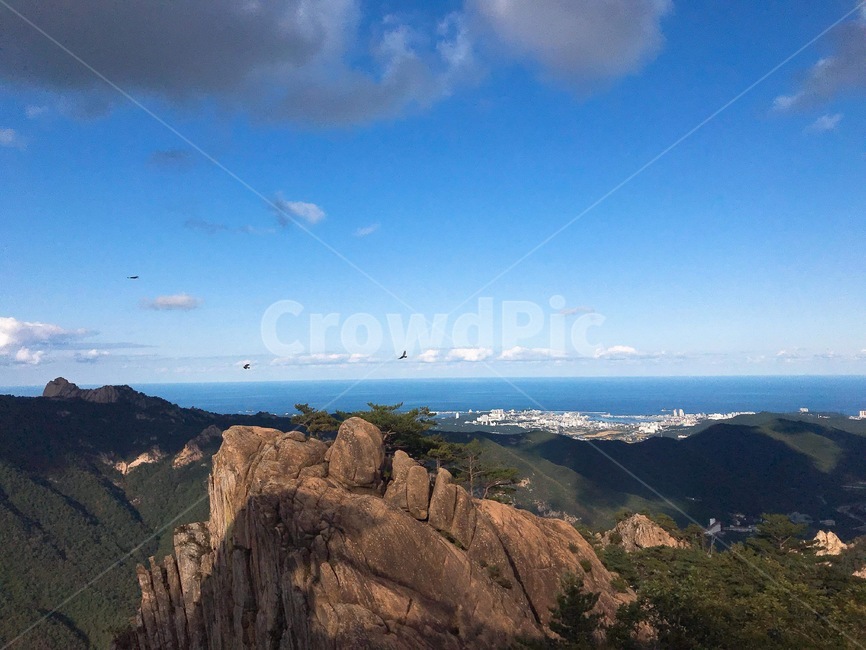 바다,풍경,새,산,하늘,자연,풍경,nature,landscape,outdoors,옥외,mountain