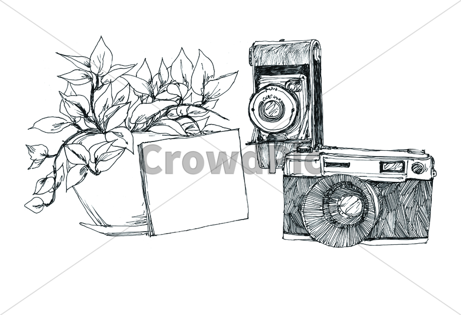 손그림,handdrawing,팬그림,팬라인,pen,penline,penpicture,pendrawing,화분,flowerpot,pot,카메라,camera