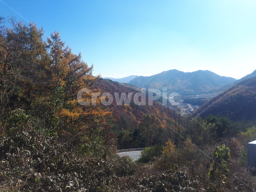 nature,자연,풍경,mountain,산,청옥산